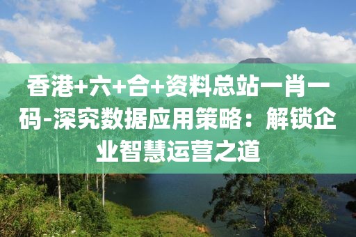 香港+六+合+资料总站一肖一码-深究数据应用策略：解锁企业智慧运营之道