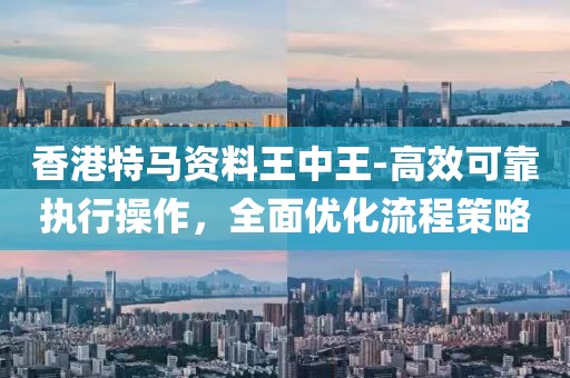 香港特马资料王中王-高效可靠执行操作，全面优化流程策略