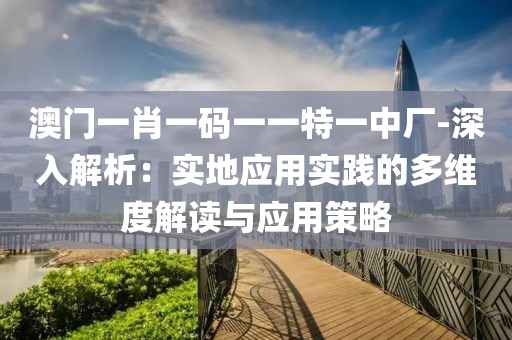 澳门一肖一码一一特一中厂-深入解析：实地应用实践的多维度解读与应用策略