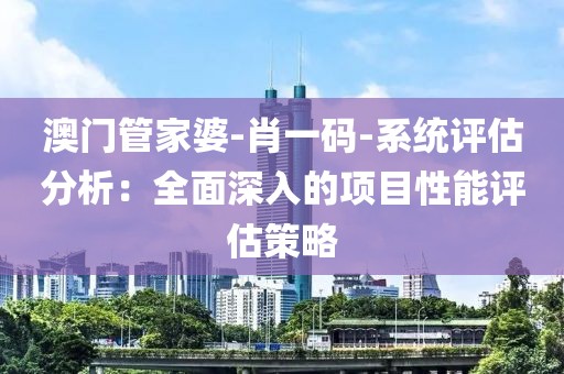 澳门管家婆-肖一码-系统评估分析：全面深入的项目性能评估策略
