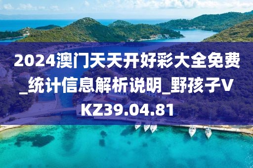 2024澳门天天开好彩大全免费_统计信息解析说明_野孩子VKZ39.04.81