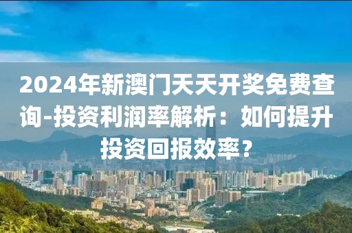 2024年新澳门天天开奖免费查询-投资利润率解析：如何提升投资回报效率？
