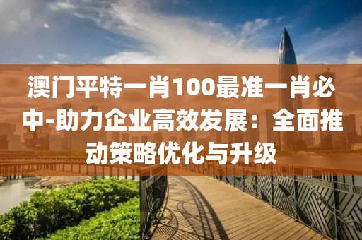 澳门平特一肖100最准一肖必中-助力企业高效发展：全面推动策略优化与升级