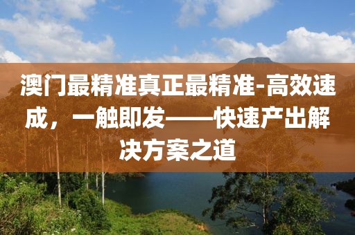 澳门最精准真正最精准-高效速成，一触即发——快速产出解决方案之道