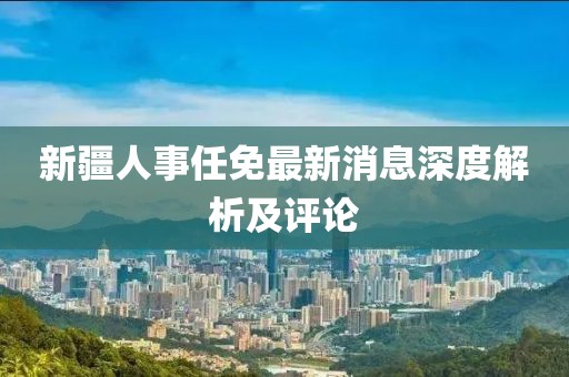 新疆人事任免最新消息深度解析及评论