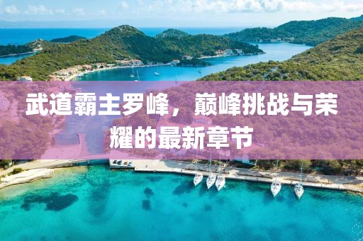 武道霸主罗峰，巅峰挑战与荣耀的最新章节