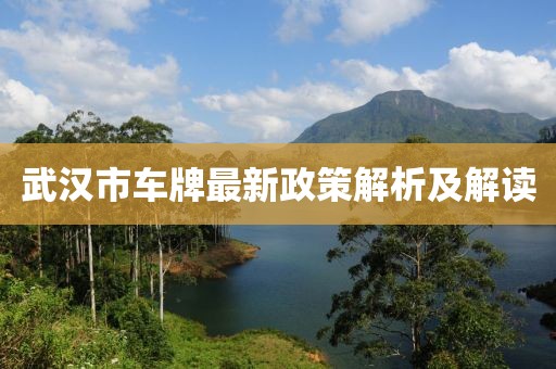 武汉市车牌最新政策解析及解读
