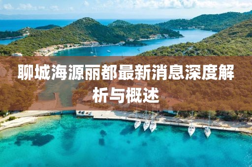 聊城海源丽都最新消息深度解析与概述