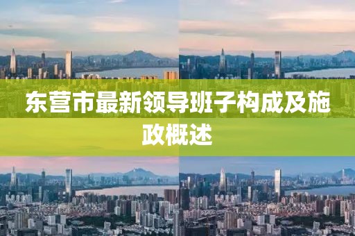 东营市最新领导班子构成及施政概述