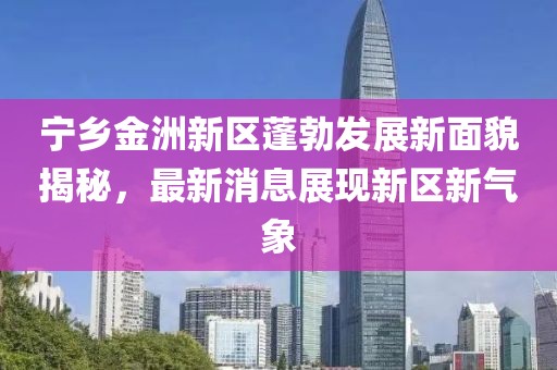 宁乡金洲新区蓬勃发展新面貌揭秘，最新消息展现新区新气象