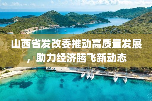 山西省发改委推动高质量发展，助力经济腾飞新动态