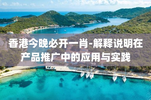 香港今晚必开一肖-解释说明在产品推广中的应用与实践