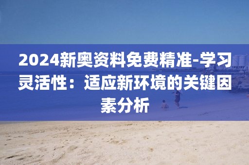 2024新奥资料免费精准-学习灵活性：适应新环境的关键因素分析