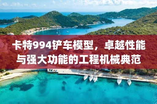 卡特994铲车模型，卓越性能与强大功能的工程机械典范