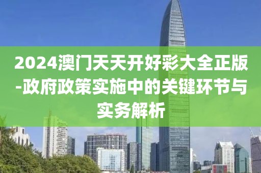 2024澳门天天开好彩大全正版-政府政策实施中的关键环节与实务解析