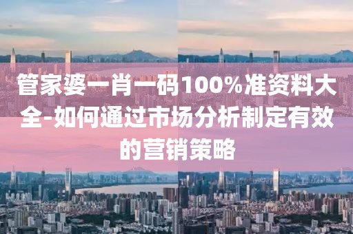 管家婆一肖一码100%准资料大全-如何通过市场分析制定有效的营销策略