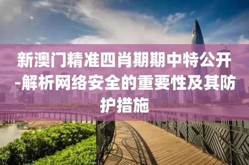 新澳门精准四肖期期中特公开-解析网络安全的重要性及其防护措施