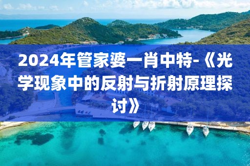 2024年管家婆一肖中特-《光学现象中的反射与折射原理探讨》