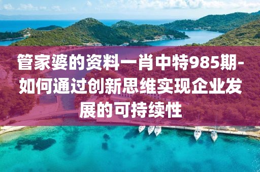 管家婆的资料一肖中特985期-如何通过创新思维实现企业发展的可持续性