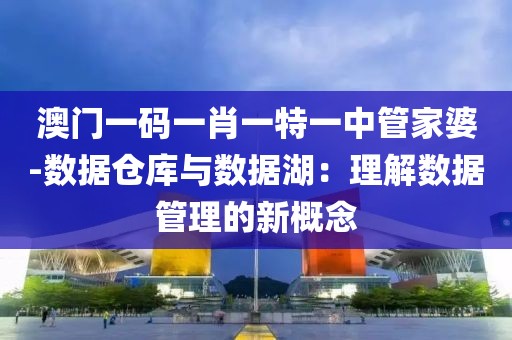 澳门一码一肖一特一中管家婆-数据仓库与数据湖：理解数据管理的新概念