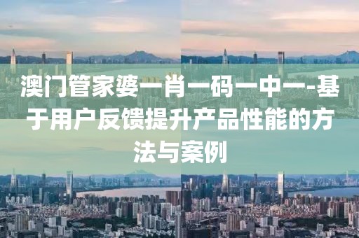 澳门管家婆一肖一码一中一-基于用户反馈提升产品性能的方法与案例