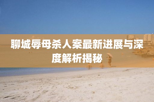 聊城辱母杀人案最新进展与深度解析揭秘