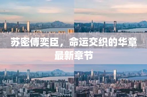 苏密傅奕臣，命运交织的华章最新章节