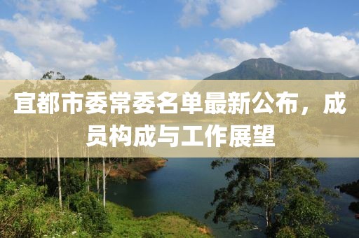 宜都市委常委名单最新公布，成员构成与工作展望