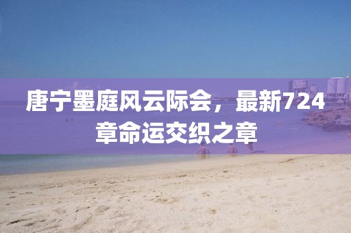 唐宁墨庭风云际会，最新724章命运交织之章