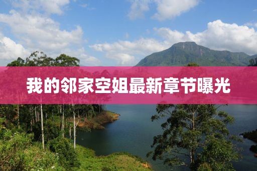 我的邻家空姐最新章节曝光