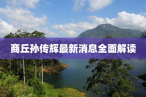 商丘孙传辉最新消息全面解读