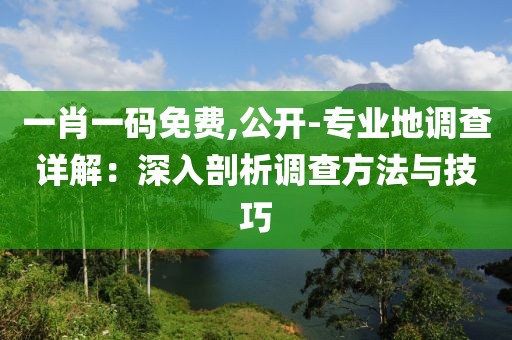 一肖一码免费,公开-专业地调查详解：深入剖析调查方法与技巧