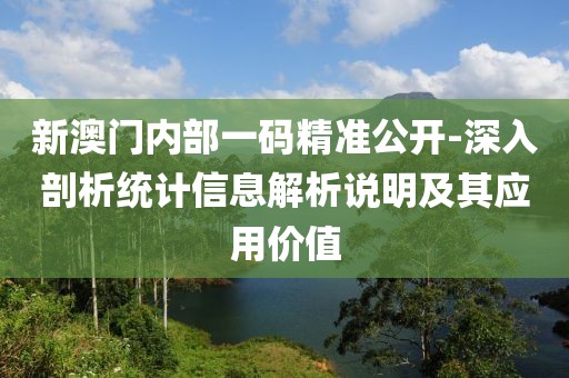 新澳门内部一码精准公开-深入剖析统计信息解析说明及其应用价值