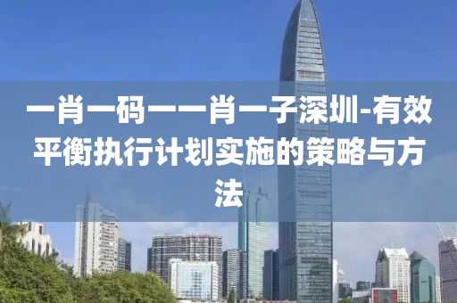 一肖一码一一肖一子深圳-有效平衡执行计划实施的策略与方法