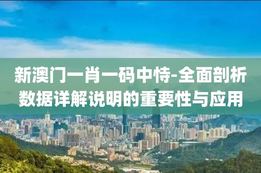 新澳门一肖一码中恃-全面剖析数据详解说明的重要性与应用