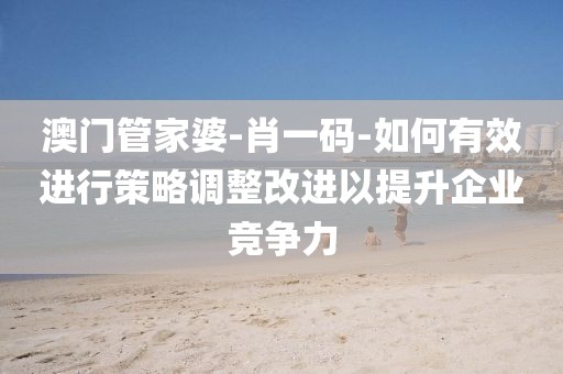 澳门管家婆-肖一码-如何有效进行策略调整改进以提升企业竞争力