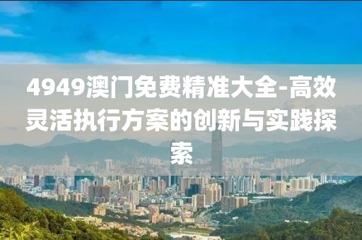 4949澳门免费精准大全-高效灵活执行方案的创新与实践探索