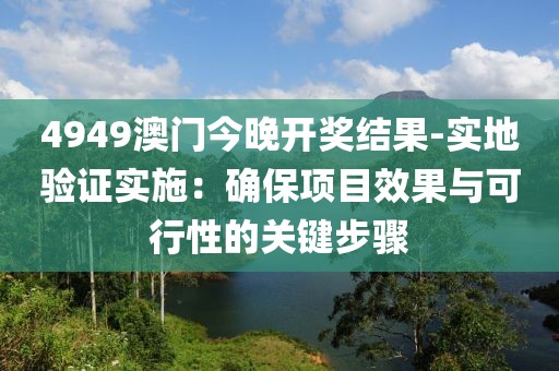 4949澳门今晚开奖结果-实地验证实施：确保项目效果与可行性的关键步骤