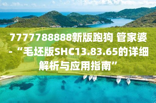 7777788888新版跑狗 管家婆-“毛坯版SHC13.83.65的详细解析与应用指南”
