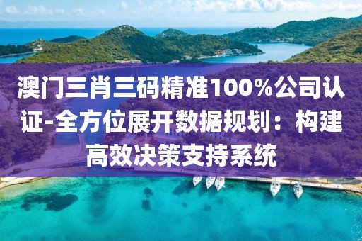 澳门三肖三码精准100%公司认证-全方位展开数据规划：构建高效决策支持系统