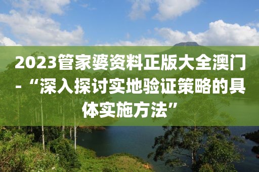 2023管家婆资料正版大全澳门-“深入探讨实地验证策略的具体实施方法”