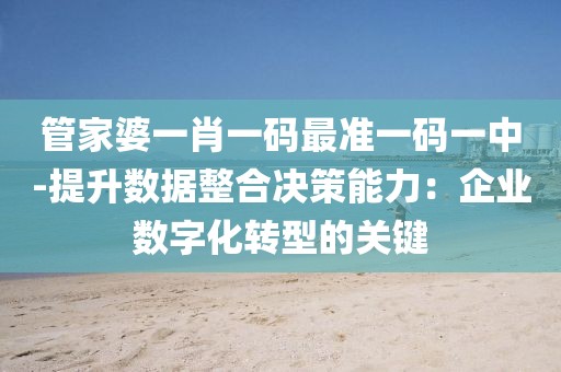 管家婆一肖一码最准一码一中-提升数据整合决策能力：企业数字化转型的关键