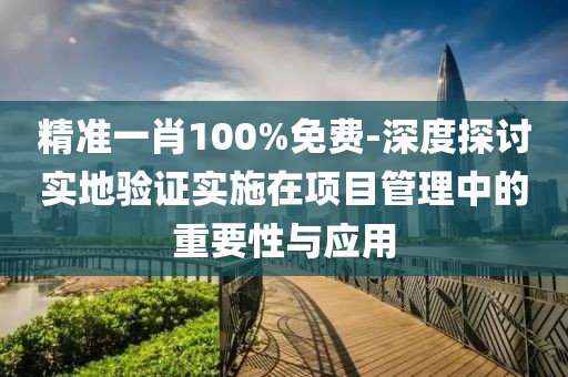 精准一肖100%免费-深度探讨实地验证实施在项目管理中的重要性与应用