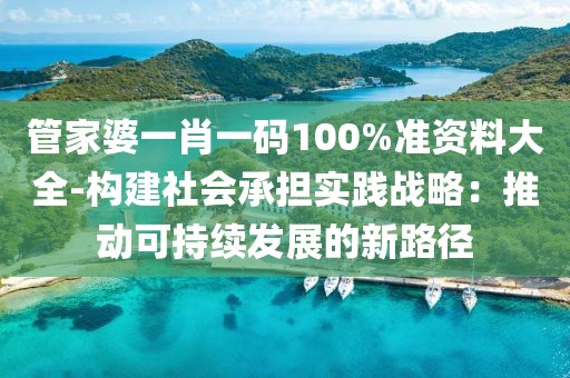 管家婆一肖一码100%准资料大全-构建社会承担实践战略：推动可持续发展的新路径