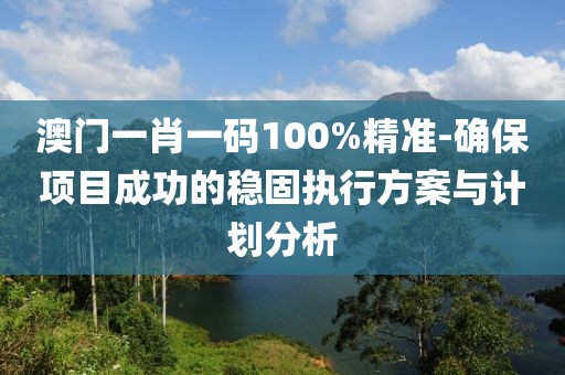 澳门一肖一码100%精准-确保项目成功的稳固执行方案与计划分析