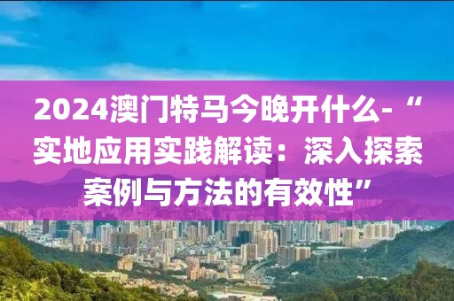 2024澳门特马今晚开什么-“实地应用实践解读：深入探索案例与方法的有效性”
