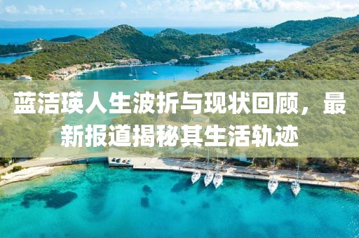 蓝洁瑛人生波折与现状回顾，最新报道揭秘其生活轨迹