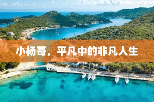 小杨哥，平凡中的非凡人生