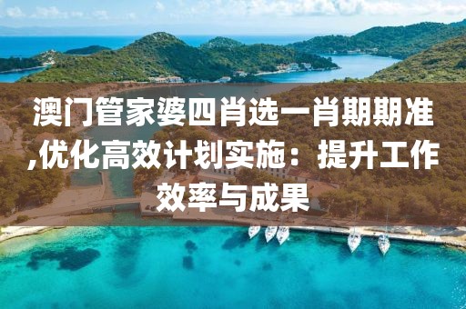 澳门管家婆四肖选一肖期期准,优化高效计划实施：提升工作效率与成果