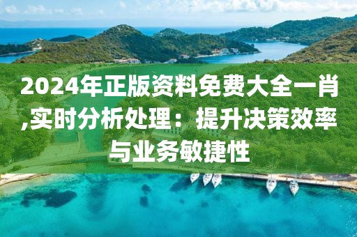 2024年正版资料免费大全一肖,实时分析处理：提升决策效率与业务敏捷性